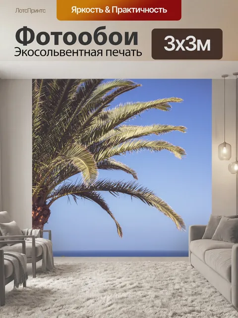Фотообои Пальма и небо