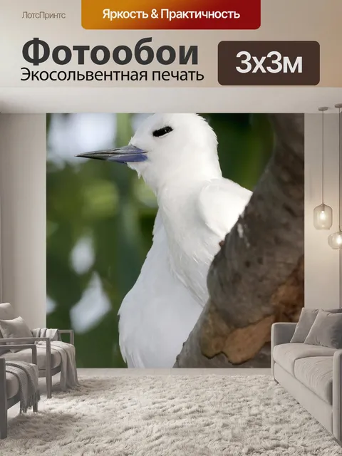 Фотообои Белая крачка