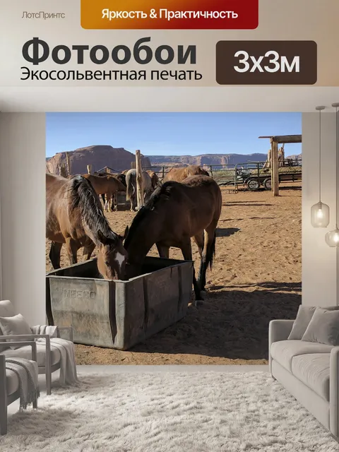 Фотообои лошади