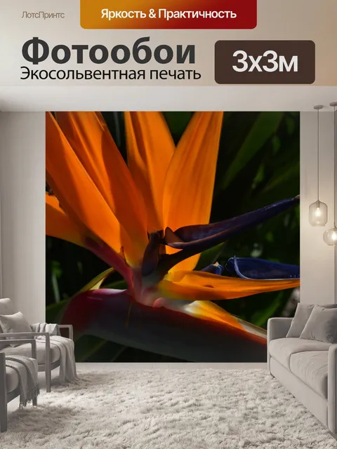 Фотообои Райская птица