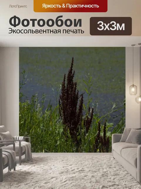 Фотообои водно-болотные угодья