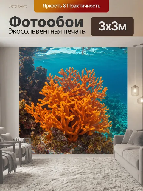 Фотообои оранжевый цвет изображают волнующиеся под водным потоком оранжевые кораллы на дне кораллового рифа