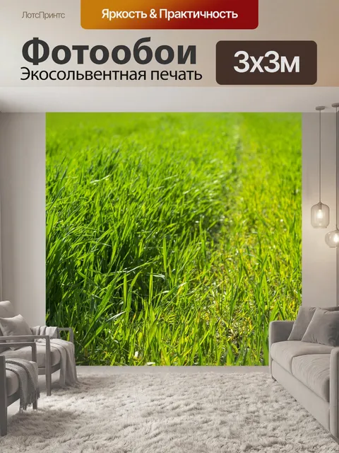 Фотообои Зеленая трава
