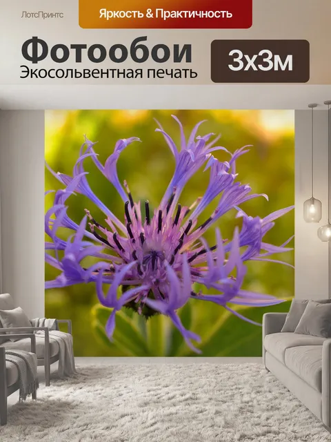 Фотообои Весна