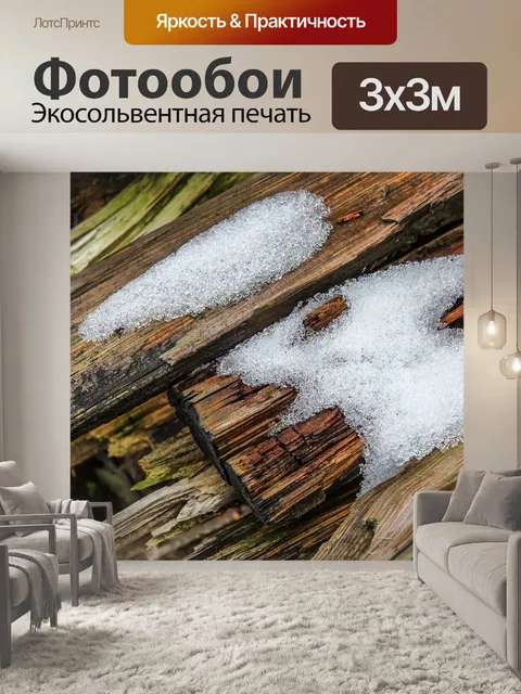 Фотообои Древесина