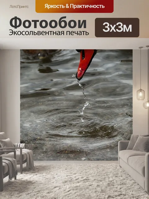Фотообои Лебедь