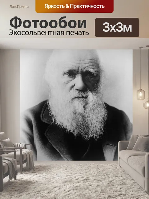 Фотообои Чарльз дарвин