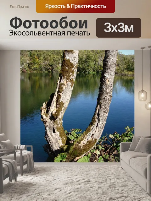 Фотообои Дерево