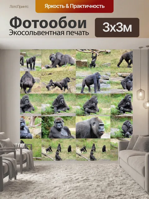 Фотообои Горилла коллаж