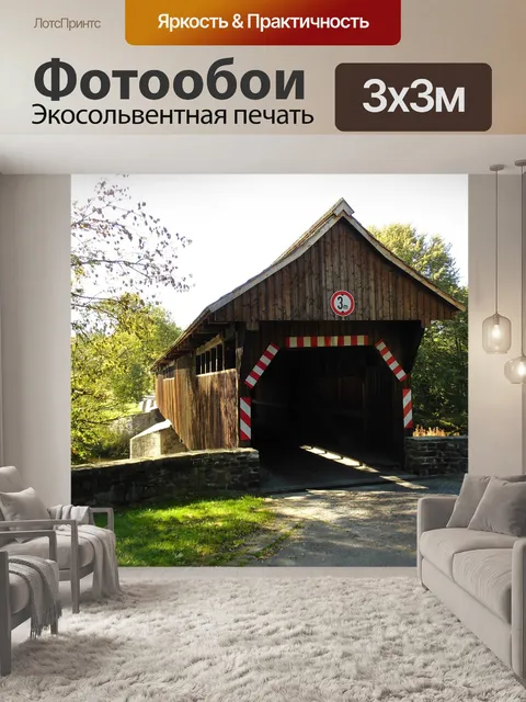 Фотообои Высокая ель