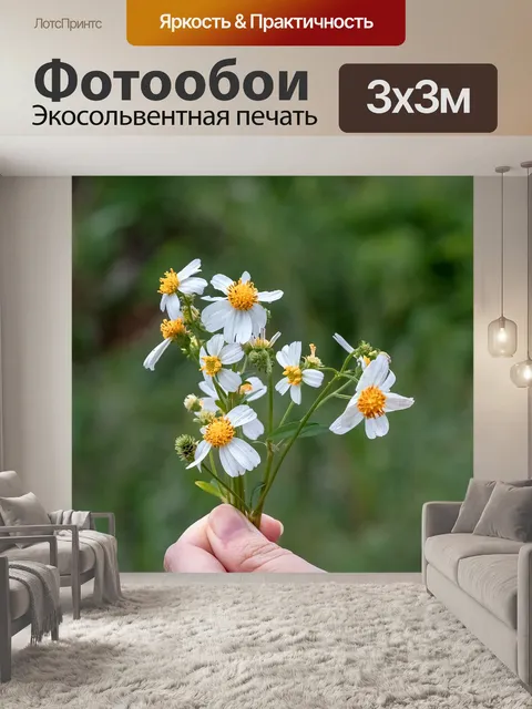 Фотообои Цветок