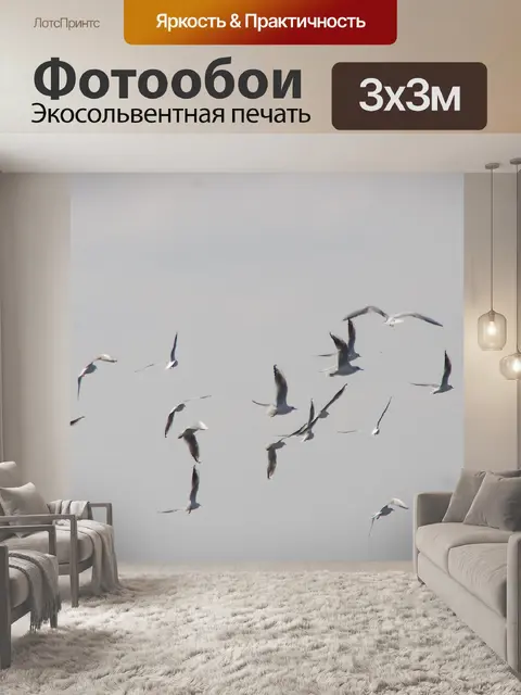 Фотообои Чайки летают против облачного неба