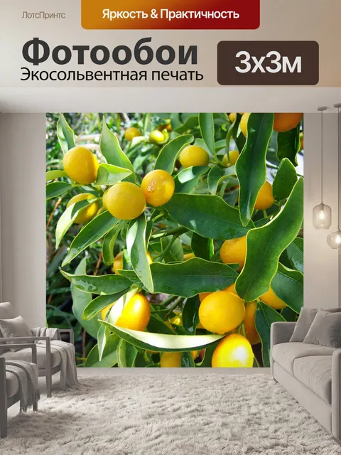 Фотообои Лимонное дерево