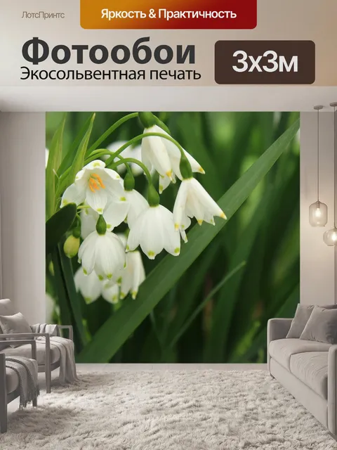 Фотообои Снег капель