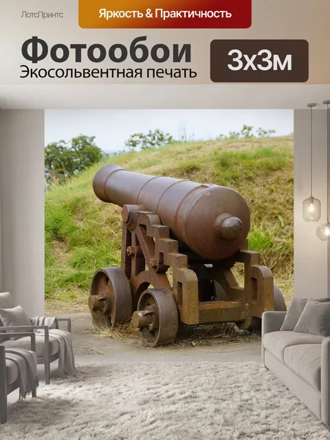 Фотообои Пушка