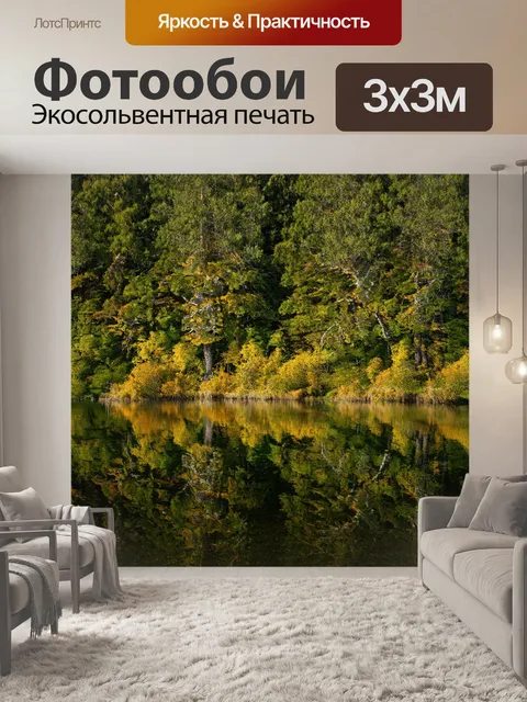 Фотообои лесное озеро с отражением деревьев на поверхности воды