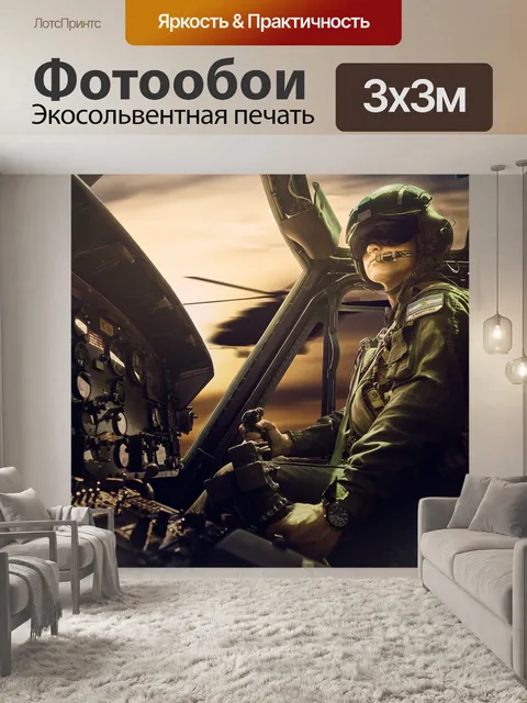 Фотообои Пилот