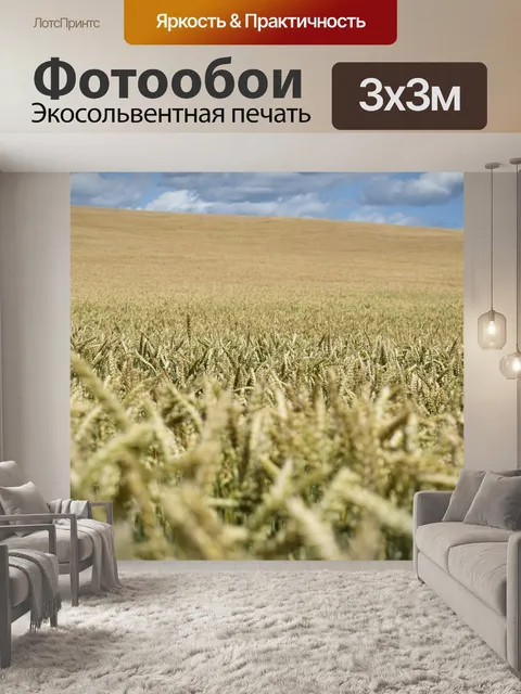 Фотообои Поле