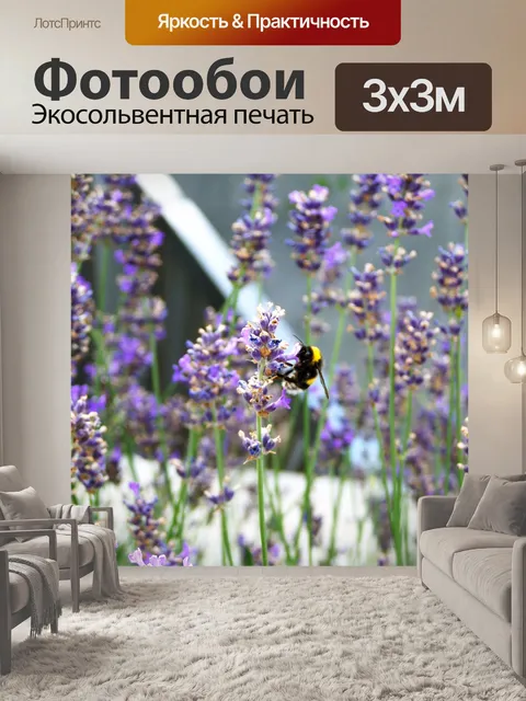 Фотообои Лаванда