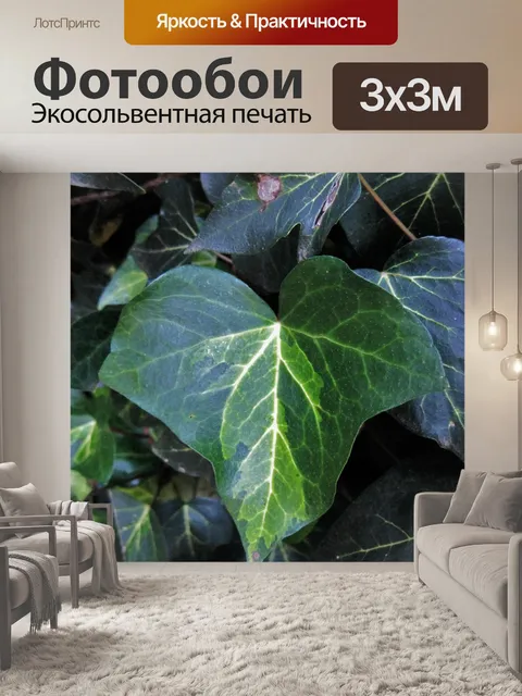 Фотообои лист плюща с белыми прожилками