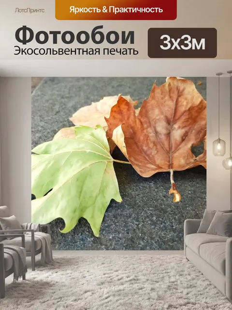 Фотообои Сезонные листья