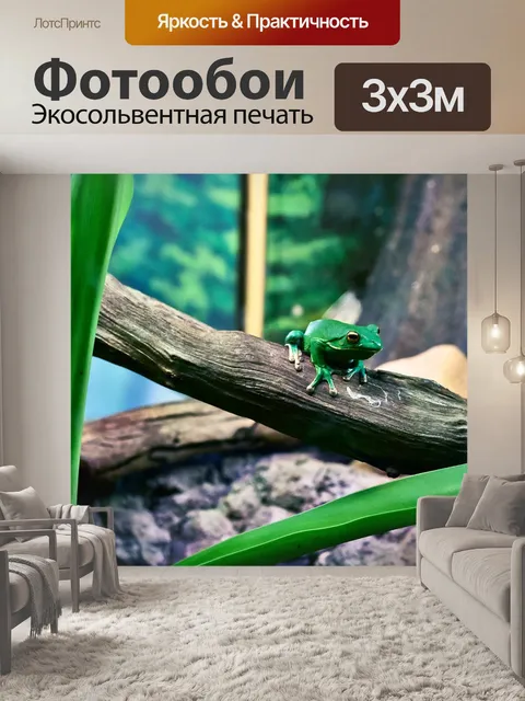 Фотообои Амфибия