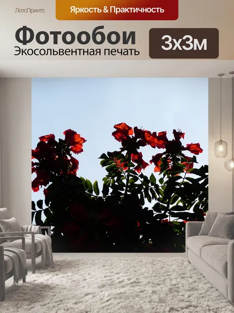 Фотообои Тюльпанное дерево