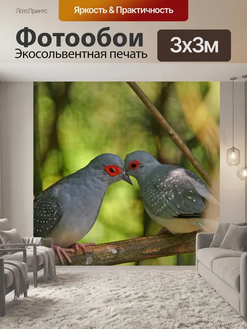 Фотообои Птицы