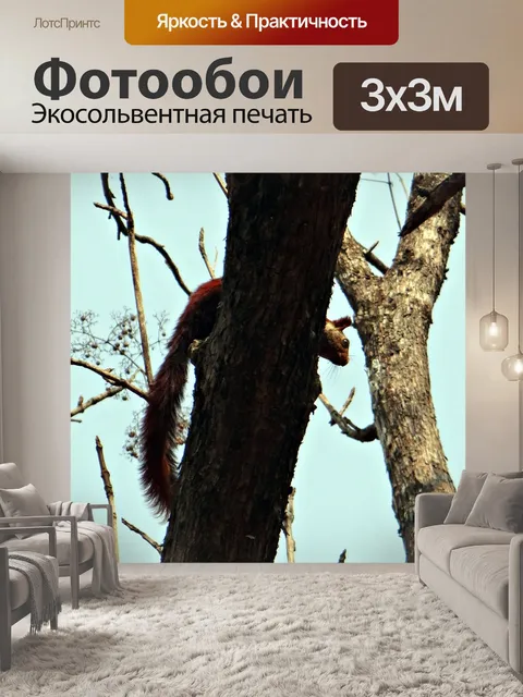 Фотообои Малабар гигантские белки