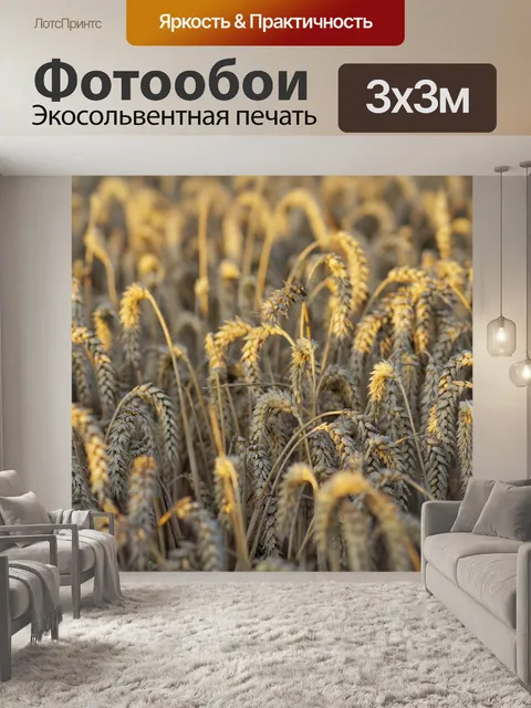 Фотообои Рожь пшеничная урожая ячменя