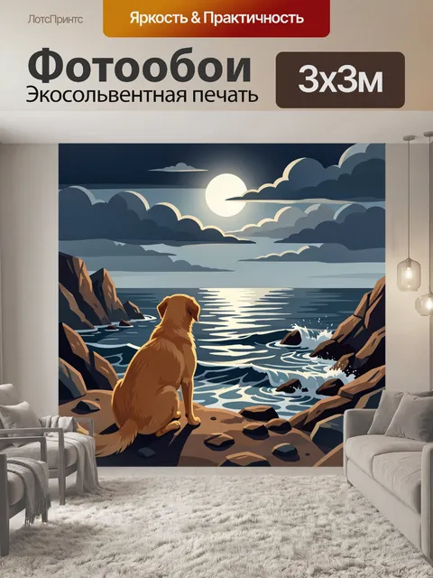 Фотообои Собака на скалистом берегу ночью