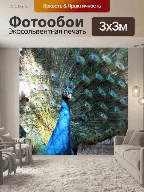 Фотообои Павлин