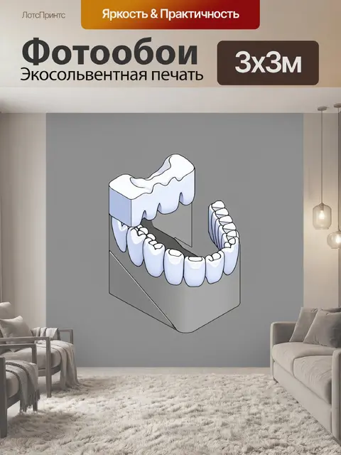 Фотообои изометрическая схема зубной челюсти, выполненная в минималистичном стиле