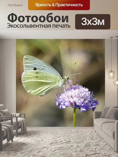 Фотообои Белокочанная капуста