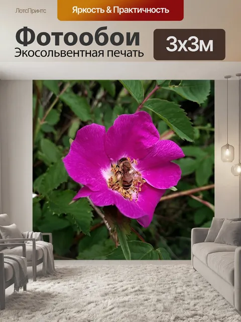 Фотообои Шиповник