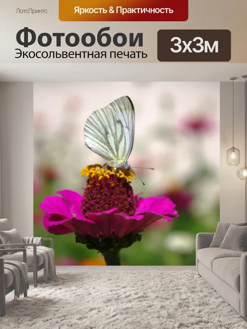 Фотообои Бабочка