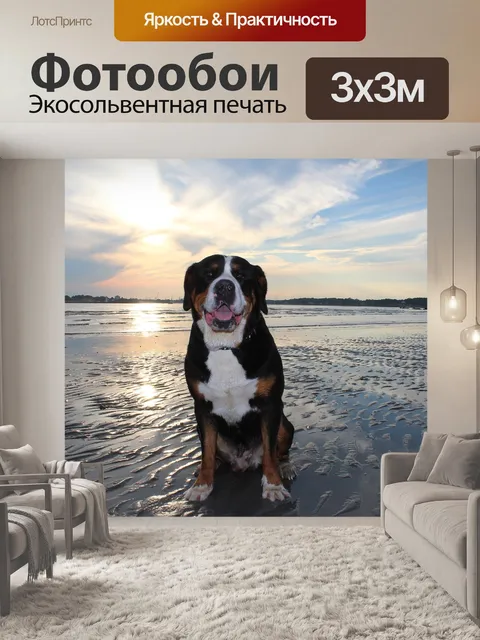 Фотообои Собака