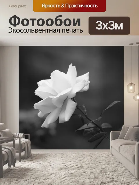 Фотообои Одиночная роза