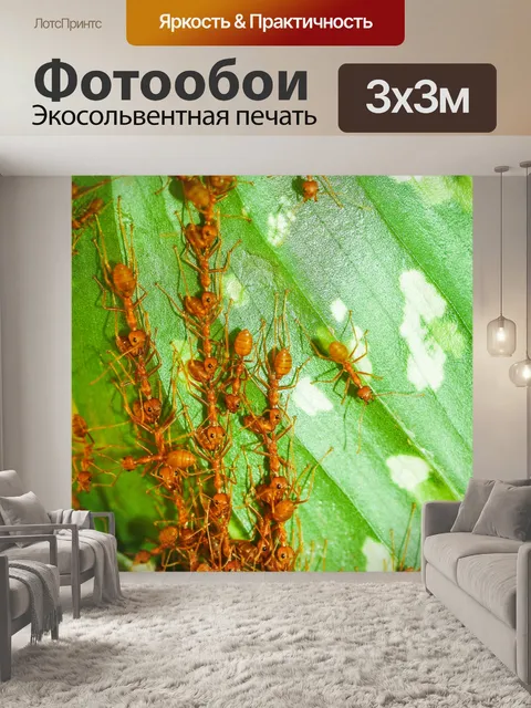 Фотообои Красные муравьи