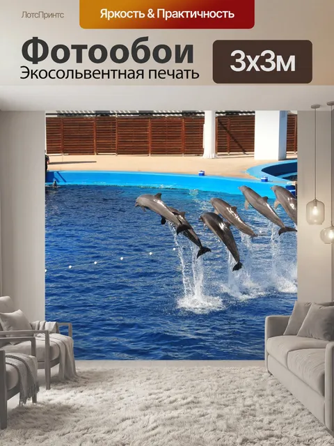 Фотообои Дельфины