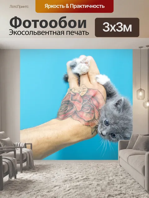 Фотообои Котенок
