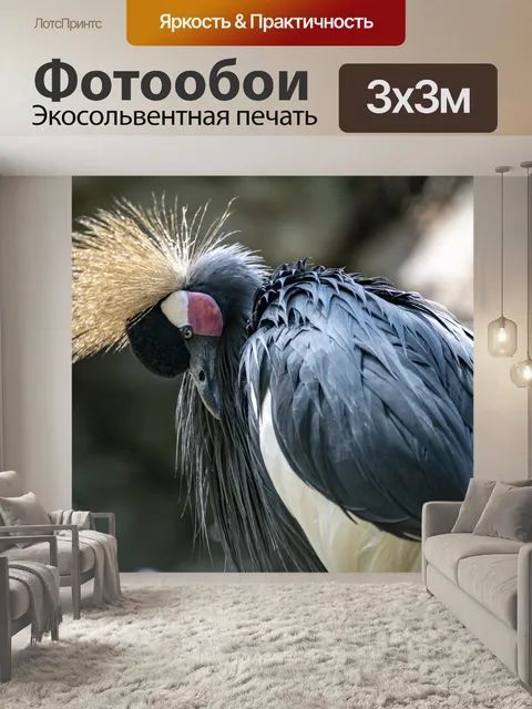 Фотообои Серые венценосные журавли
