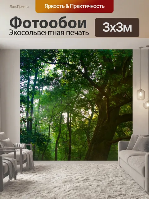 Фотообои Рассвет