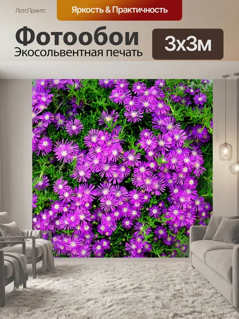 Фотообои Фиолетовый