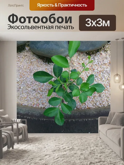 Фотообои Лист