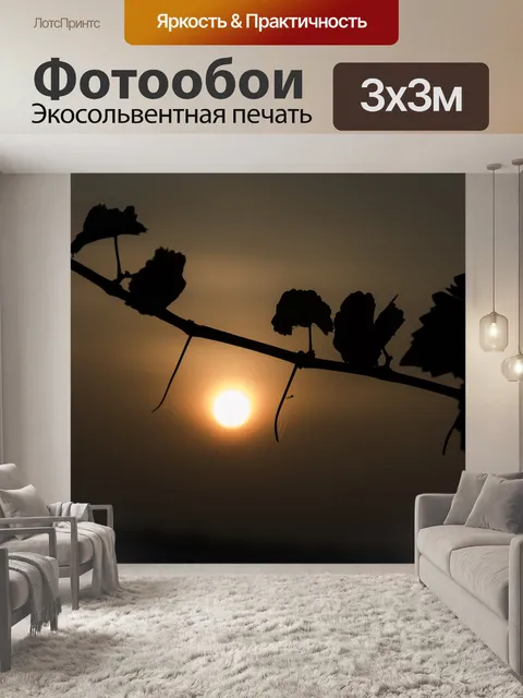 Фотообои Солнце