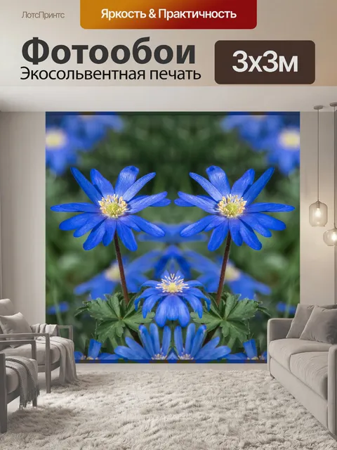 Фотообои Цветы, голубой Анемон