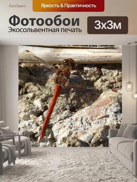 Фотообои Красная стрекоза