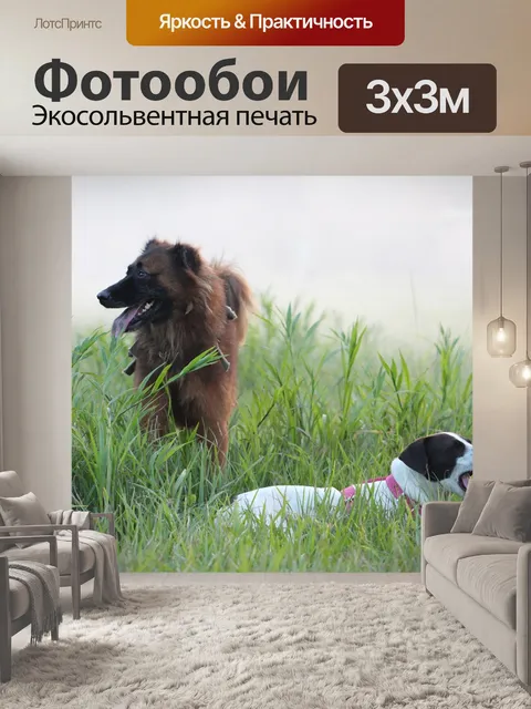 Фотообои Собаки