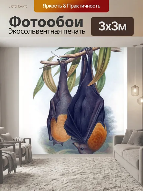 Фотообои Летучие лисы винтажный плакат искусство